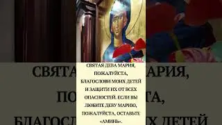 Святая Дева Мария, пожалуйста, благослови моих детей и защити их от всех опасностей.
