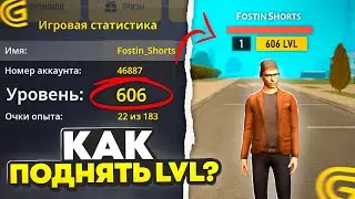 КАК ОЧЕНЬ БЫСТРО ПРОКАЧАТЬ УРОВЕНЬ В ГРАНД МОБАЙЛ!