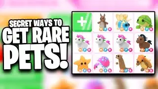 SECRET TIPS How to Find RARE Adopt Me PETS 🦄