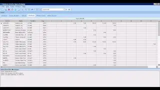 Epicor ERP How to create BAQ Pivot to count Customer Sales Order