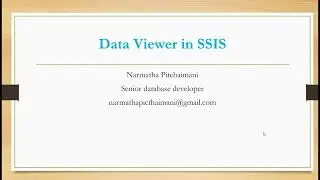 Data Viewer in SSIS | SSIS Data Viewer