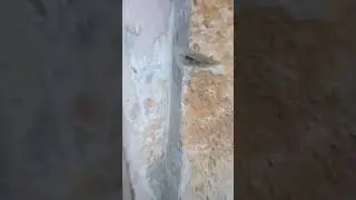 Ты что здесь делаешь?