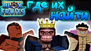 🔥ГДЕ НАХОДЯТСЯ ВСЕ БОССЫ В Blox Fruits 💎 [☁️ UPDATE 17] Blox Fruits