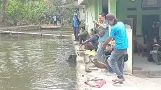 Mancing ikan borongan, satu kolam 5 peserta