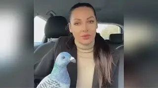 Изменяет, потому что уходить от партнёра не выгодно