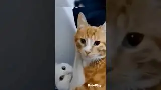 #funny