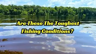 Use These Fishing Lures When It’s SUNNY And FLAT CALM! They Work The Best!