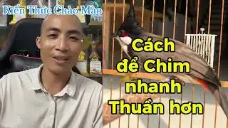 ĐIỀU CÁM -TRÁI CÂY - MỒI TƯƠI TÙY VÀO MỖI THỜI TIẾT THẾ NÀO CHO CHÀO MÀO