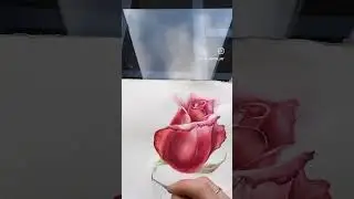Роза акварелью #rose #art #painting #flowers #artist #drawing #watercolor #tattoo #love #satisfying
