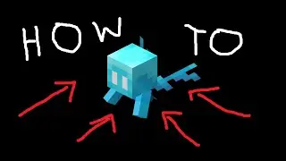 How to find an ALLAY in minecraft
