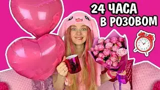 24 ЧАСА ОДНОГО ЦВЕТА / ТОЛЬКО РОЗОВЫЙ Челлендж ЦЕЛЫЙ ДЕНЬ В РОЗОВОМ ЦВЕТЕ Ната Лайм