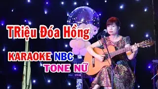 Triệu Đóa Hoa Hồng - Karaoke Tone Nữ - NBC