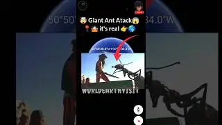 I found Giant ant 🐜🤯😱 on Google map and Google earth 🌎  