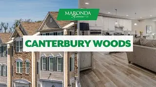 Community Spotlight: Canterbury Woods