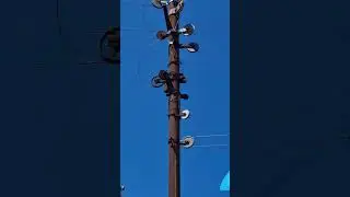Едем по Батуми, Грузия. Август 2023