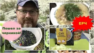 Пошел за черникой!/ЕРЧ/Дача.
