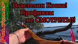 CATFISH FOR KVOK IN SPRING