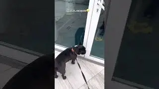 История о том как Бароша так и не попал в скейт-парк🤷‍♀️🙁