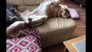 Утро понедельника!