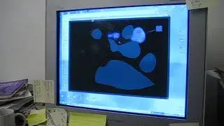 Soul Bubbles DS (February 2005 prototype)