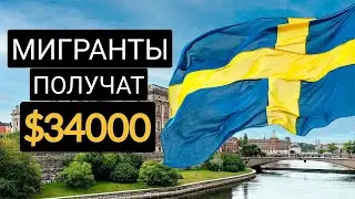 Почему Швеция хочет платить мигрантам по $34000