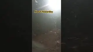 Adventure after the rain
