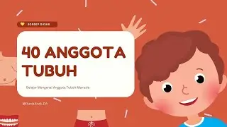 Belajar Mengenal 40 Anggota Tubuh Untuk Anak TK | PAUD