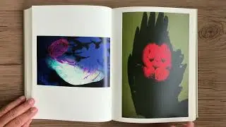 MASAHISA FUKASE   Masahisa Fukase