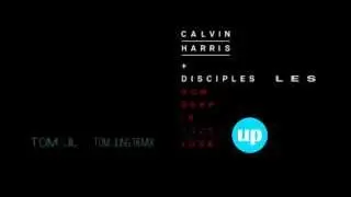 [ZIppy FD] Calvin Harris & Disciples-How Deep is your love (Tom Jung Remix)