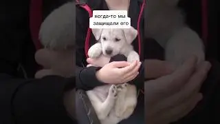 время летит... 