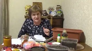 Крепкая рассада.Слагаемые успеха.