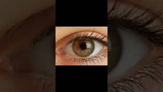 Görme engelliler ne görür?
