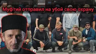 The Muftiate is dragging Dagestan into war! Charinsky & Dzhabrailovich