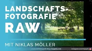 TIEFENSCHÄRFE, Weitwinkel und WARUM Bildbearbeitung wichtig ist - Landschaftsfotografie RAW #40