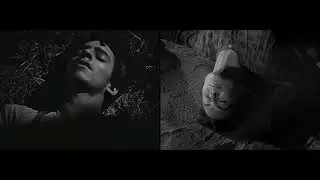 El sueño de la liebre. El cine de Luis Buñuel y Gabriel Figueroa