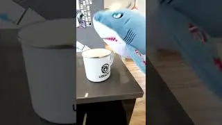 Great White Shark | A Day in the Office