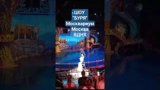 Шоу 
