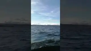 аргази пол часа спустя