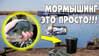 Mortising it's just. Fishing with a spinning jig. Micro jig or mortising)) Fishing 2020