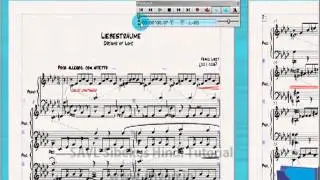 SAVL SIBELIUS PLAYBACK WINDOW 1 HINDI TUTORIAL