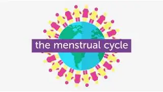 The menstrual cycle animation