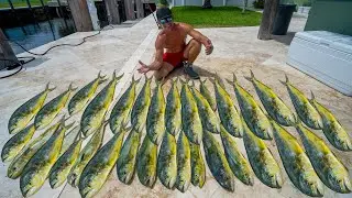 BEST Day of Dolphin fishing! Catch Clean Cook ( Florida Mahi Mahi)