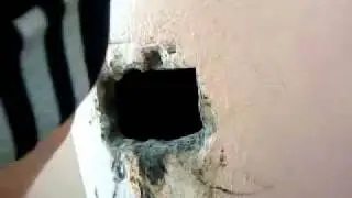 Брат в мусоропроводе застрял