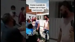Cuando te metes con el tigre equivocado