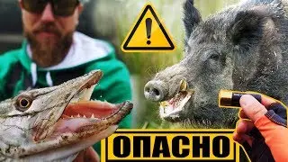 ОСТРОВЪТ на ПРАСЕТАТА - ЛОВ и РИБОЛОВ на диви прасета и щуки ОПАСНО!!! S. 02 EP. 01 на р.Дунав