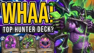 POLKELT IS INSANE IN THIS DECK! - New Aggressive Highlander Hunter - Hearthstone