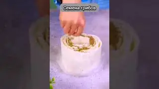 Грибочки😊 #лайфхак #грибы #lifehacks
