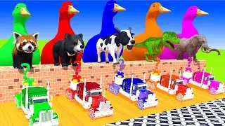 5 Giant Duck Cartoon, Long Slide Game With Cow Elephant Lion Gorilla T-Rex, 3d Animal Game