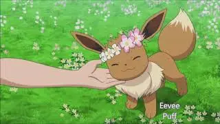 Alola Vulpix and Eevee-AMV-Most Girls