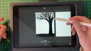 The Seasons Series! Part 1 Tree & Ground (Sketchbook App)